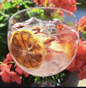 G and T Lemon Strawberry Gin and tonic with Fruitanicals lemon and strawberry garnish