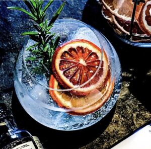 G and T with Orange Garnish Gin and tonic with Fruitanicals dehydrated orange garnish