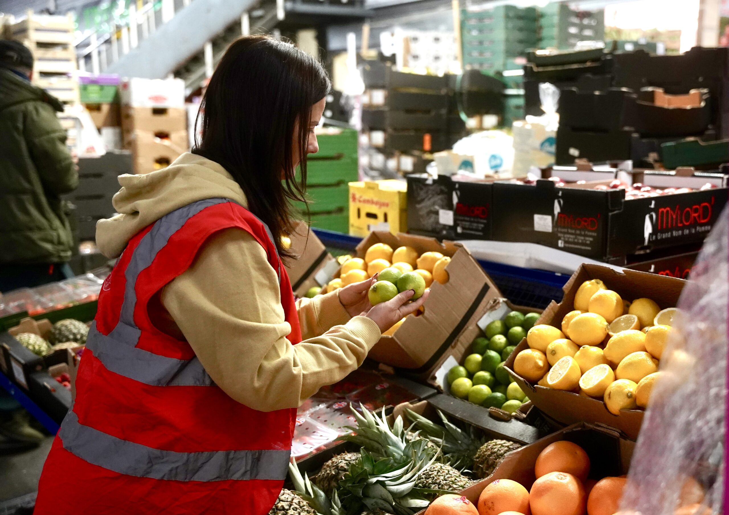 Person selecting fresh lemons at the wholesale market