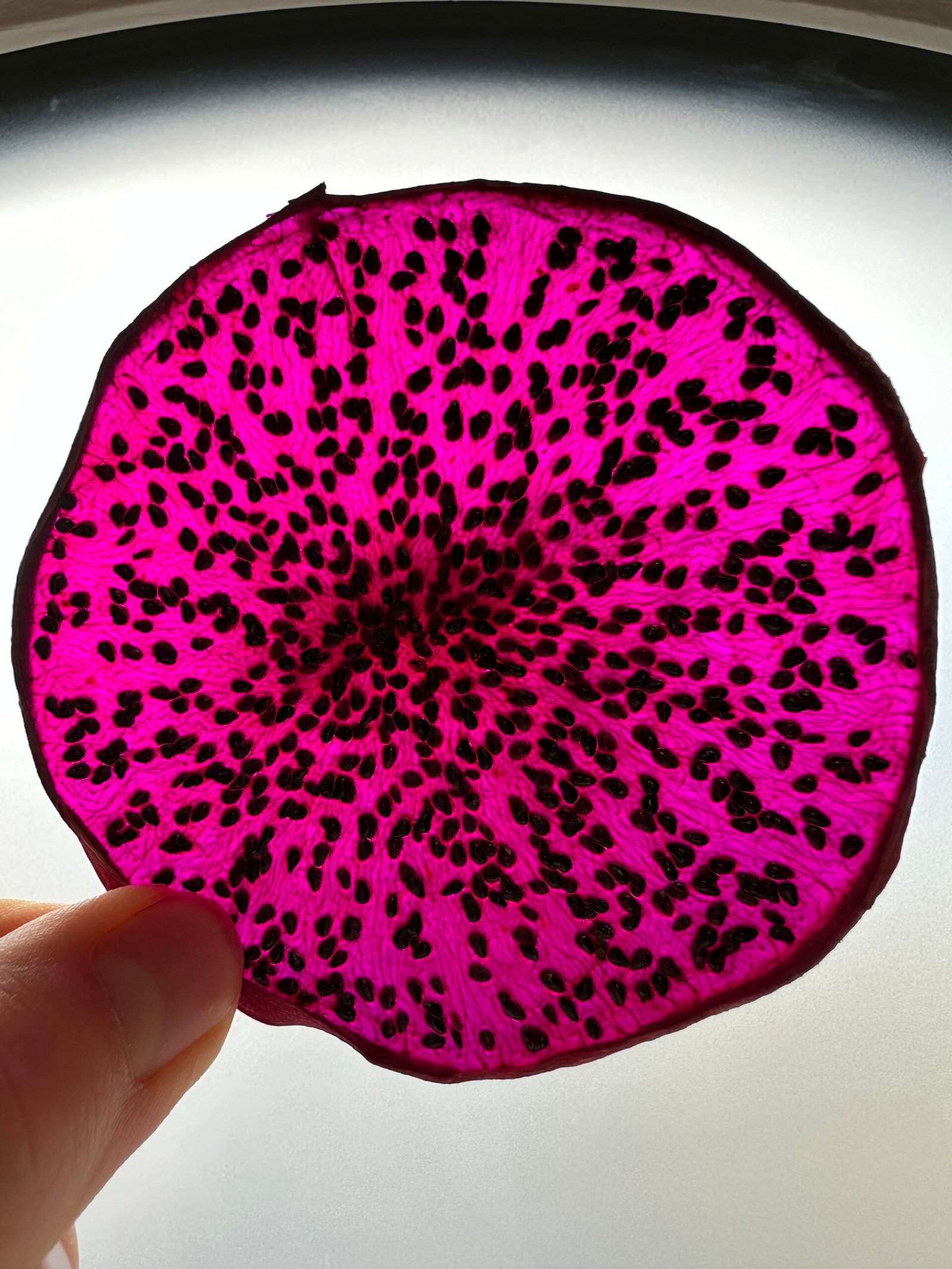 Dragon Fruit - Image 3